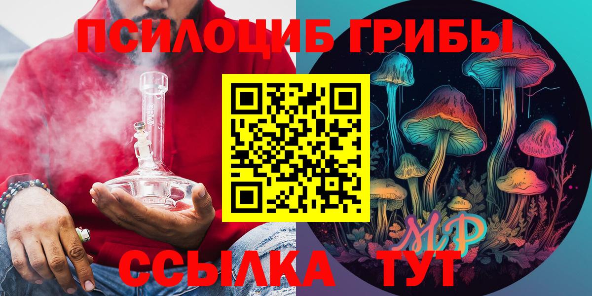 Галлюциногенные грибы Psilocybe  Псилоцибиновые грибы прущие грибы  Вход с VPN  Кашира 